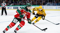 Odds inför SHL omgång 46: Seriefinal i Scandinavium