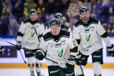 Farjestad shl