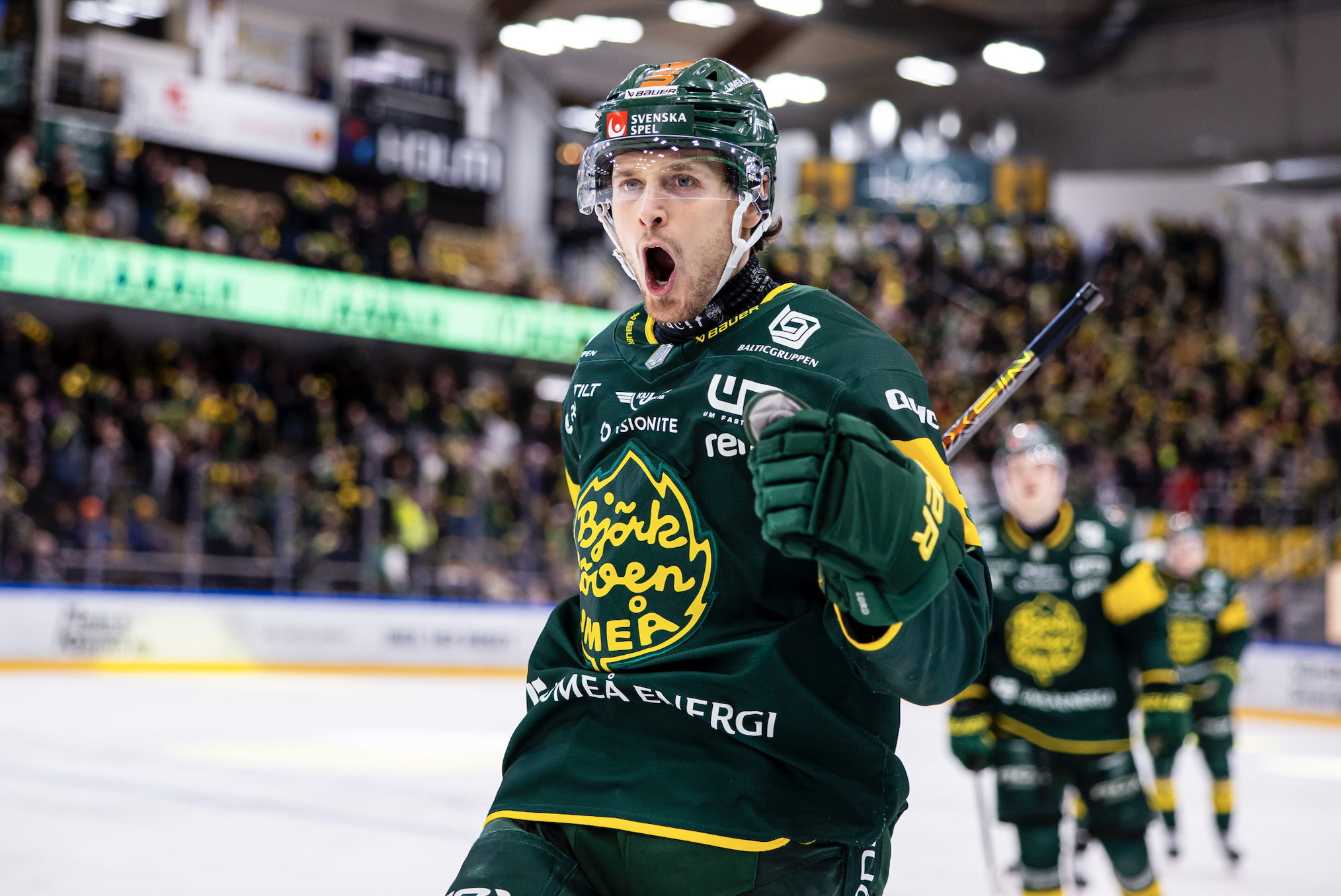 Här är favoriterna att gå upp till SHL 2026 från HockeyAllsvenskan