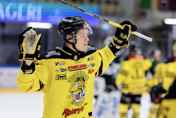 Vimmerby HC nykomligar i Hockeyallsvenskan