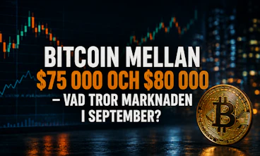 Bitcoin sep marknaden
