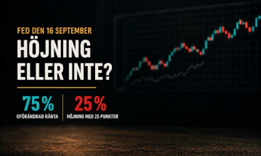 Fed marknad hojning odds