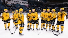 Oddsen inför SHL-slutspelet 2026: Skellefteås stora lyft